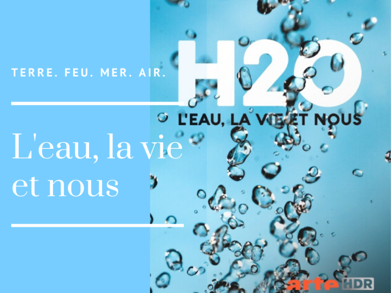 H2O : l’eau, la vie et nous